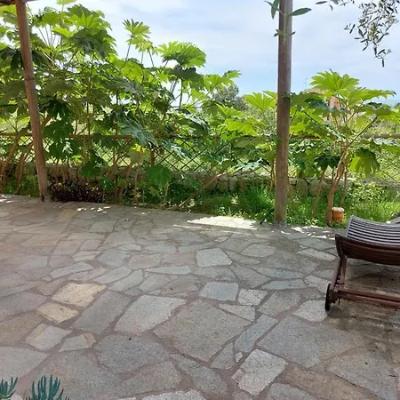 Symphony Sea View アパート Forio di Ischia